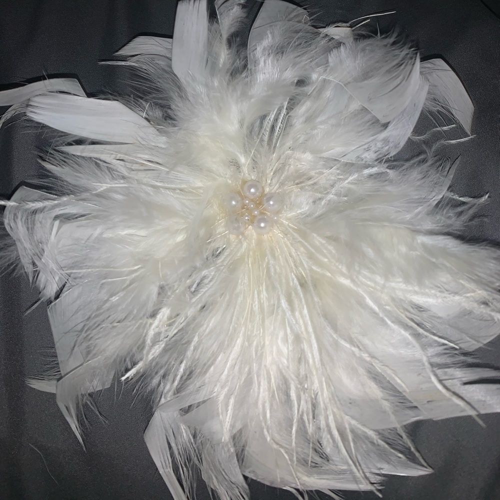 Feather hair clip .